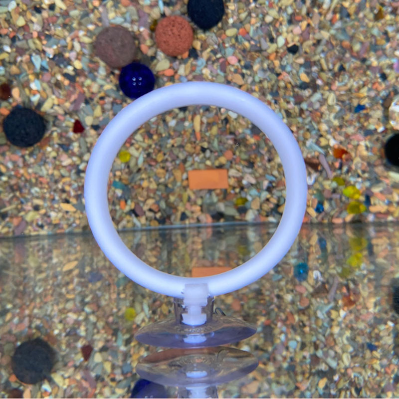 1 Stück Kunststoff-Aquarium-Tr – Gymnastic Ring Bewertung und Preis