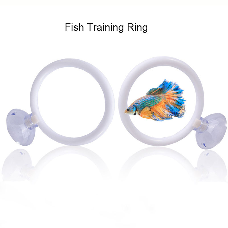 1 Stück Kunststoff-Aquarium-Tr – Gymnastic Ring Bewertung und Preis